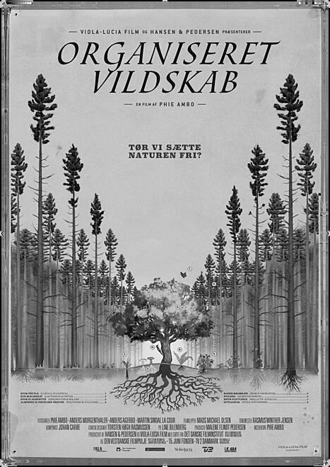 layout image (to proper size of the container)