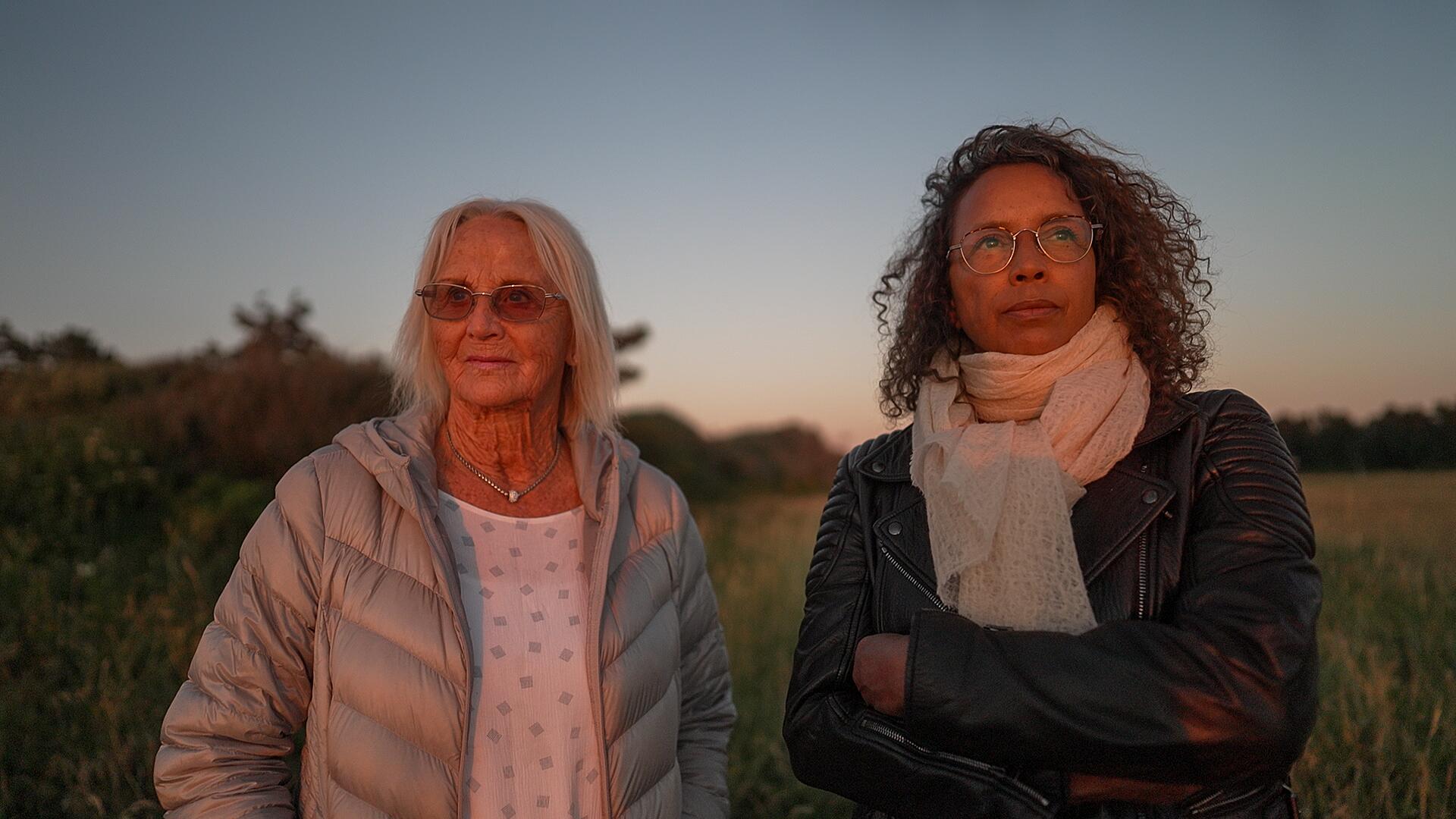 Tavsheden i mit hjerte