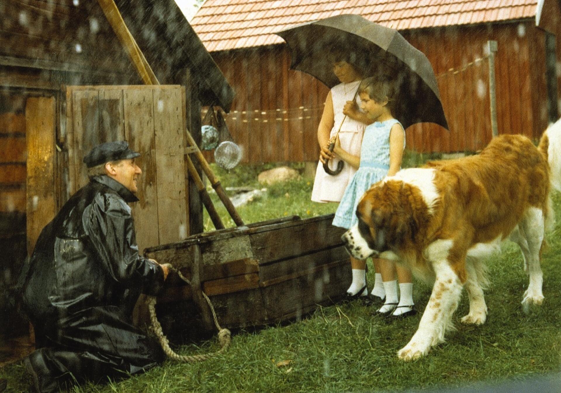 Troldungen på Krageøen