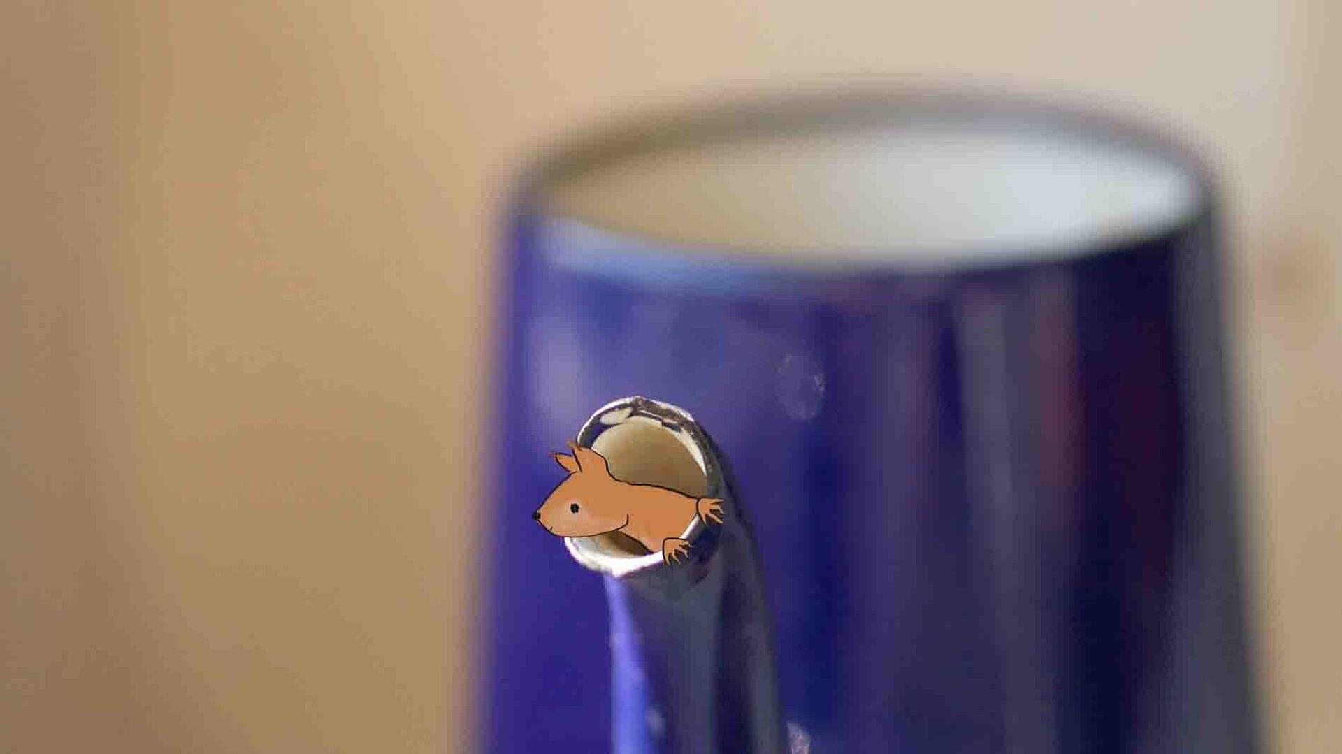 1 minut natur - egernet