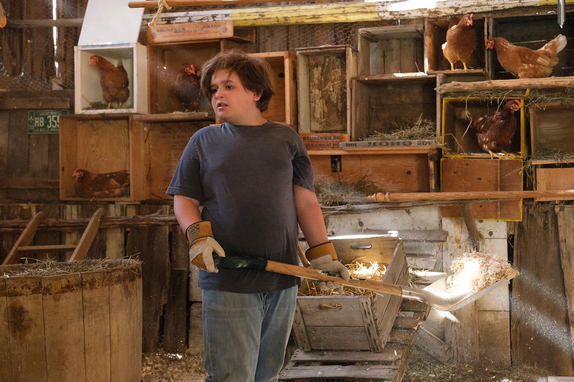 Det store æggeeventyr