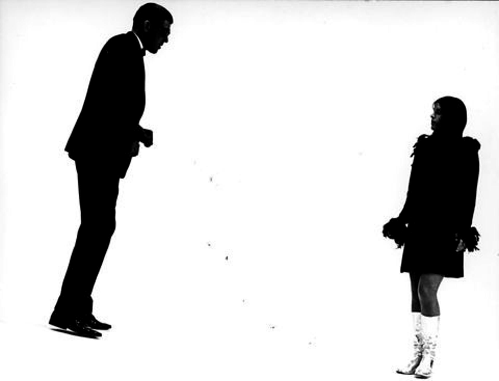 Det perfekte menneske