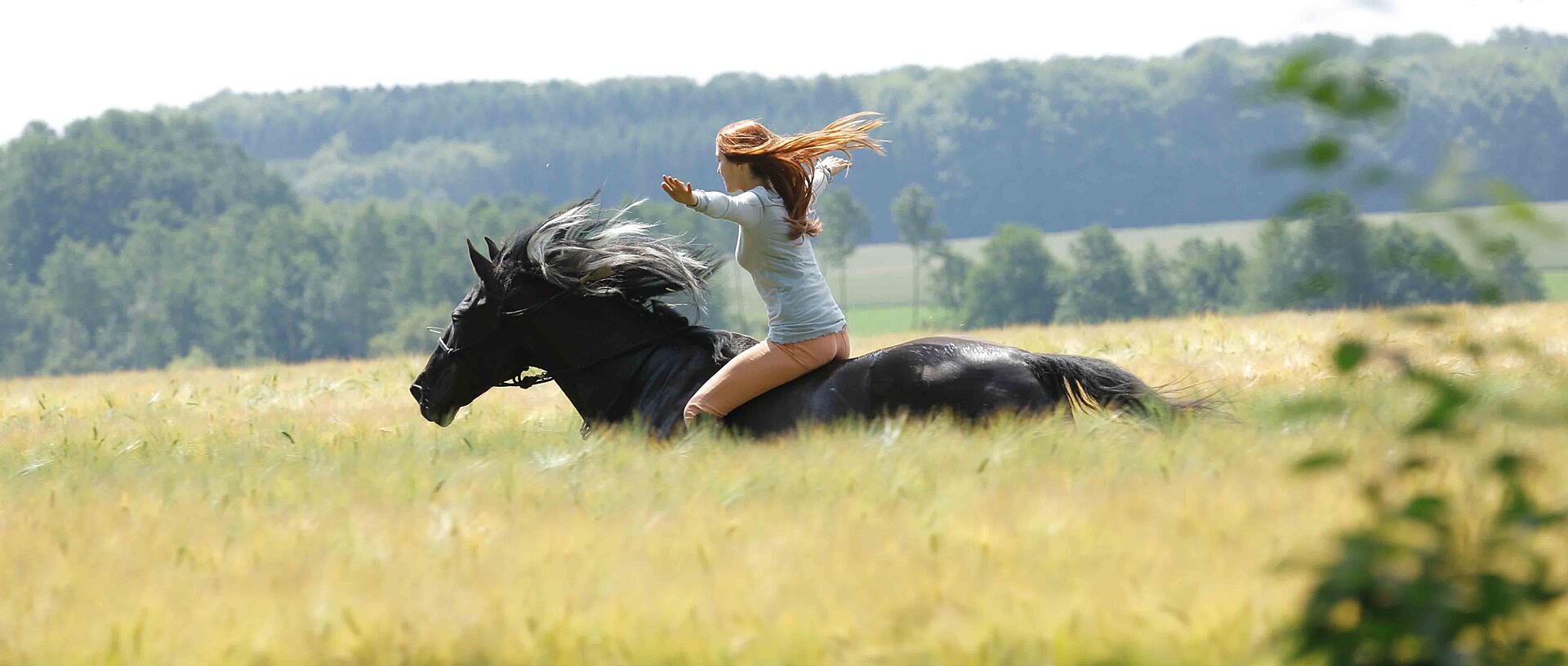 Stormy - sammen er vi fri