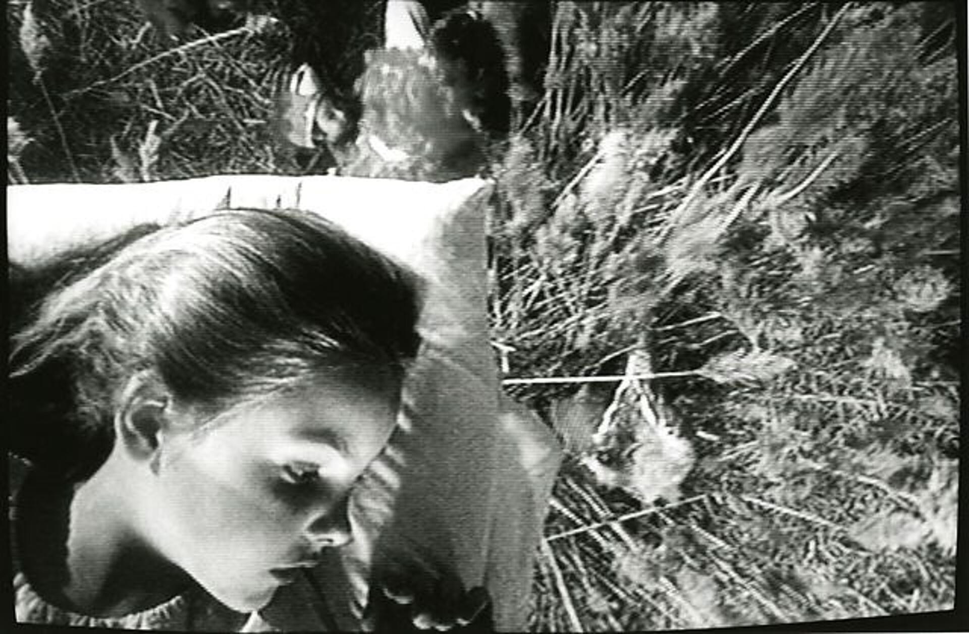 Hør nu synger stjernerne - fem musikvideoer for børn