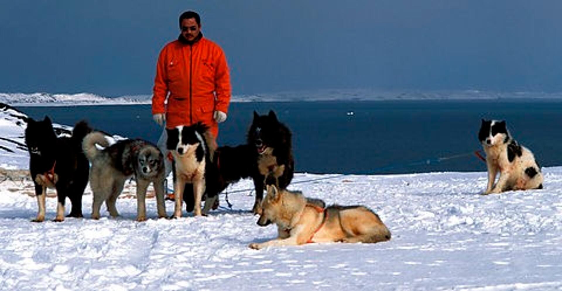 Jeg husker - : fortællinger fra Grønland