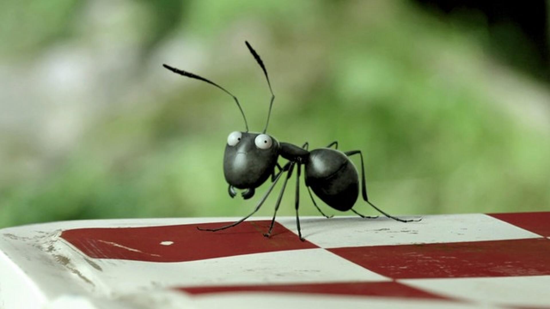 Minisekterne - kampen om myrenes dal