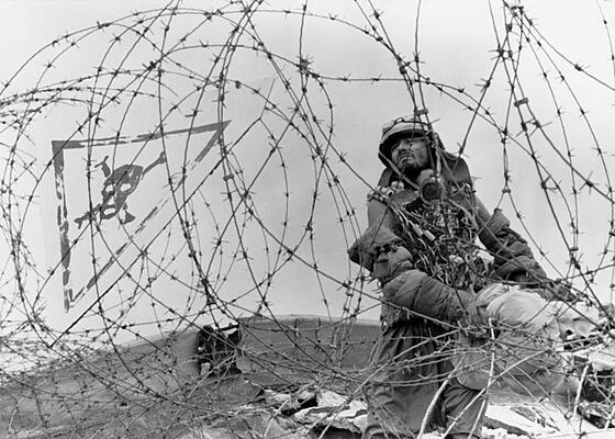 layout image (to proper size of the container)