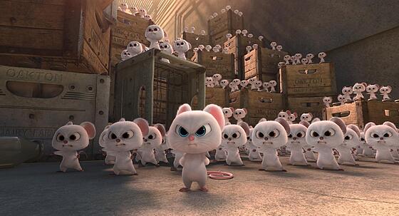 forhåndsvisning af film