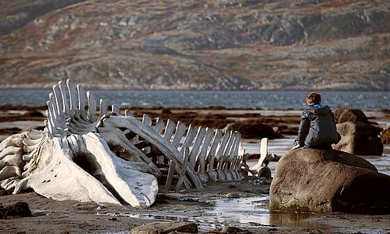 layout image (to proper size of the container)