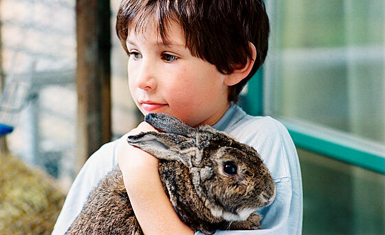 forhåndsvisning af film