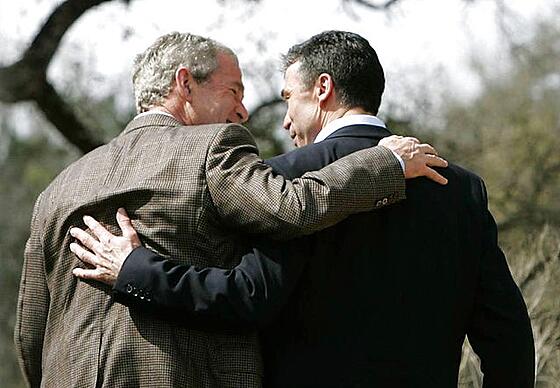 layout image (to proper size of the container)