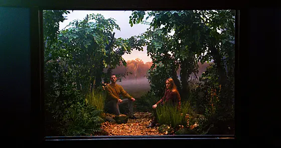 forhåndsvisning af film