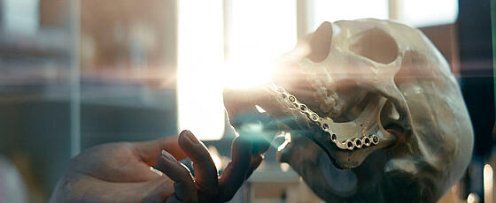 layout image (to proper size of the container)