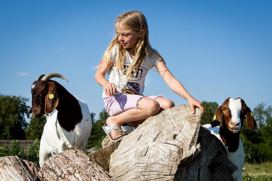 layout image (to proper size of the container)