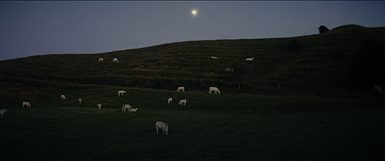 forhåndsvisning af film