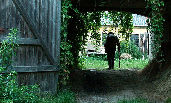 forhåndsvisning af film