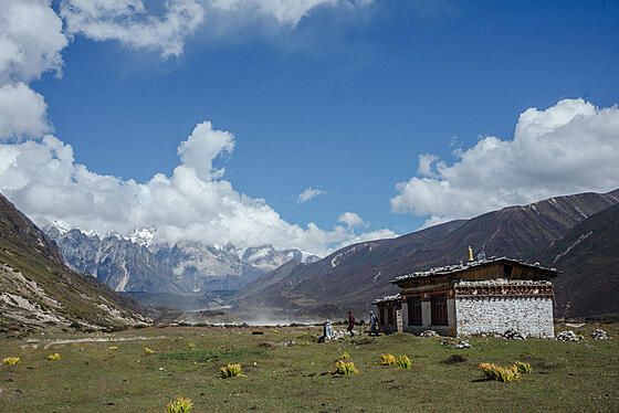 forhåndsvisning af film