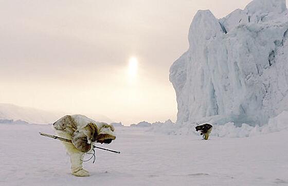 layout image (to proper size of the container)