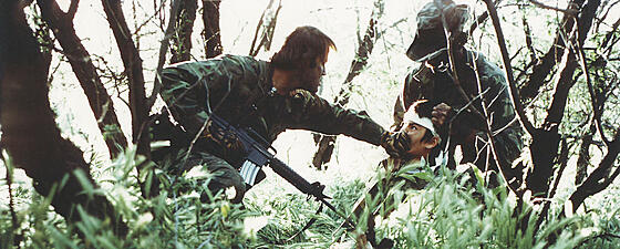 layout image (to proper size of the container)