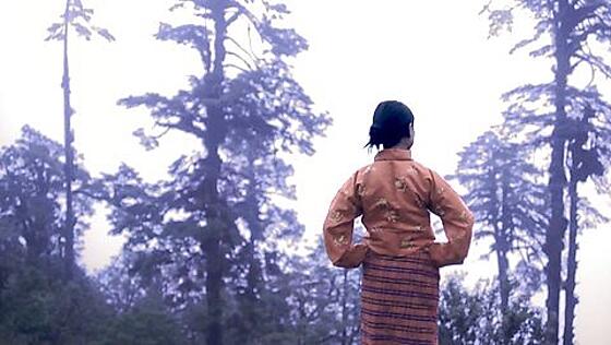 layout image (to proper size of the container)