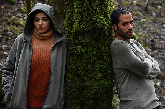 forhåndsvisning af film