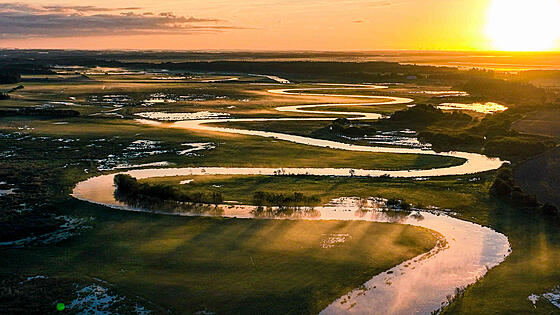 forhåndsvisning af film