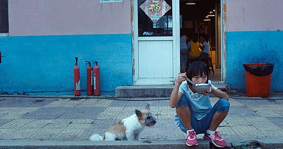 forhåndsvisning af film