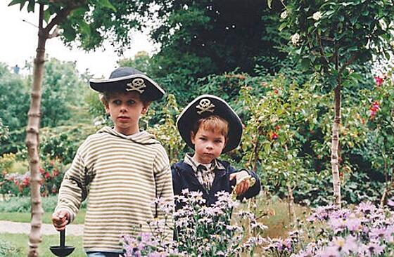 layout image (to proper size of the container)