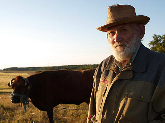 layout image (to proper size of the container)