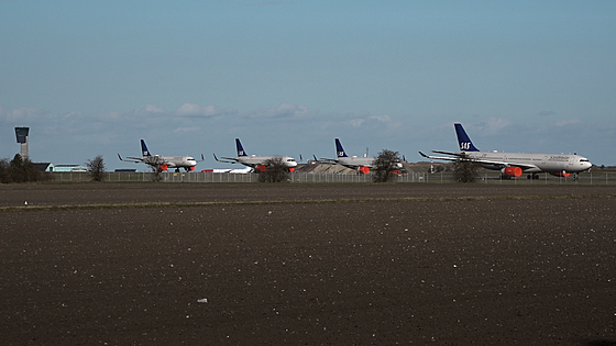 forhåndsvisning af film