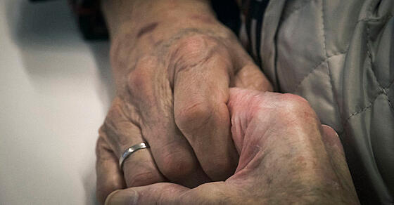 layout image (to proper size of the container)