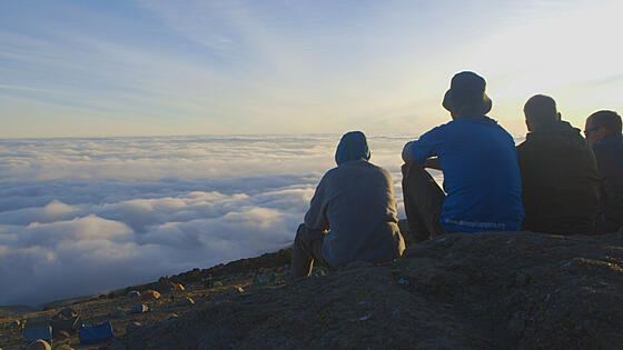 forhåndsvisning af film
