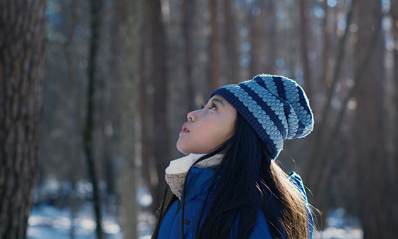 forhåndsvisning af film