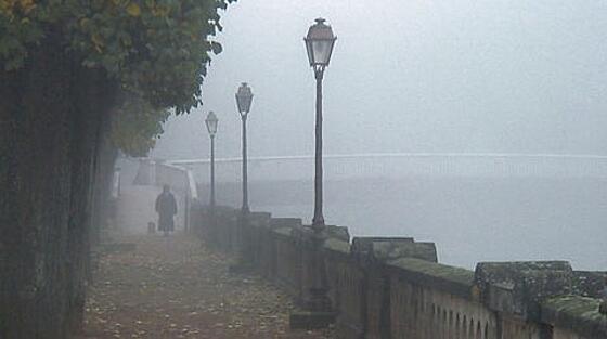 layout image (to proper size of the container)