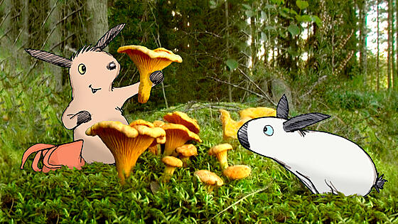 layout image (to proper size of the container)