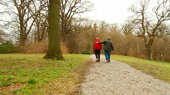 forhåndsvisning af film