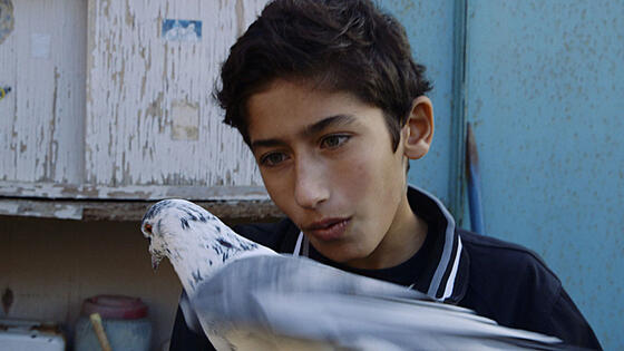 layout image (to proper size of the container)