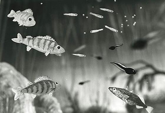 layout image (to proper size of the container)