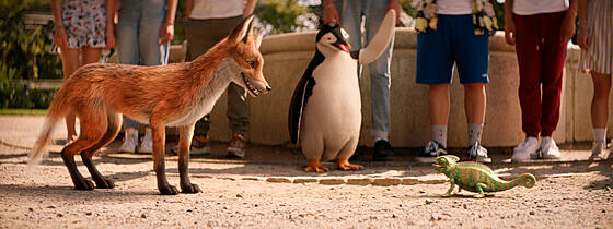 forhåndsvisning af film