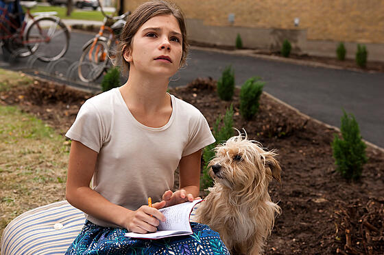 forhåndsvisning af film