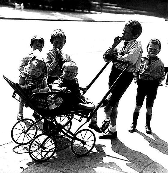 layout image (to proper size of the container)