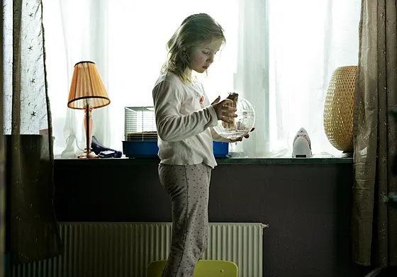 forhåndsvisning af film