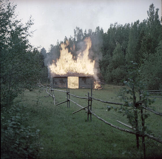 forhåndsvisning af film