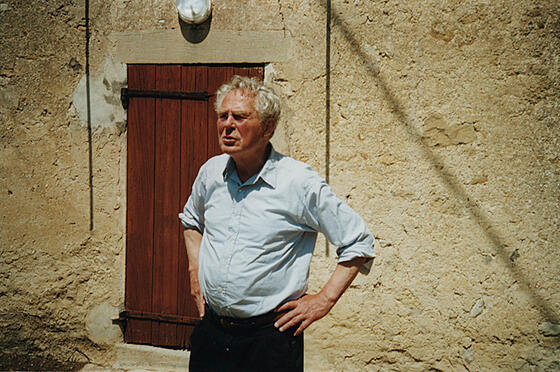 forhåndsvisning af film