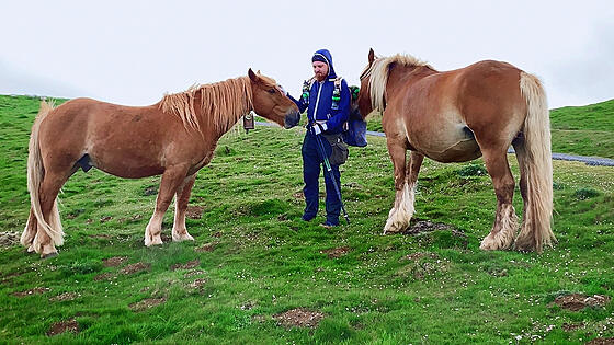 layout image (to proper size of the container)