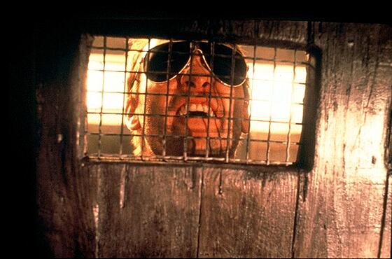 layout image (to proper size of the container)