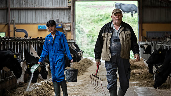 forhåndsvisning af film