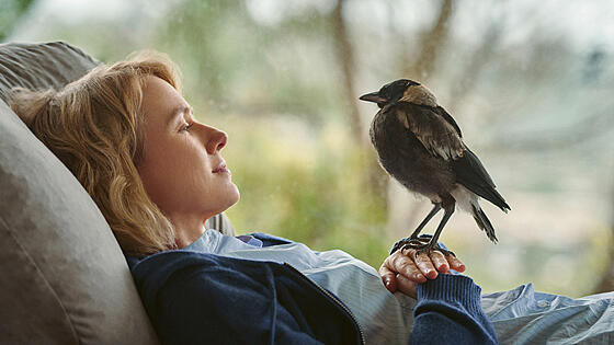 forhåndsvisning af film