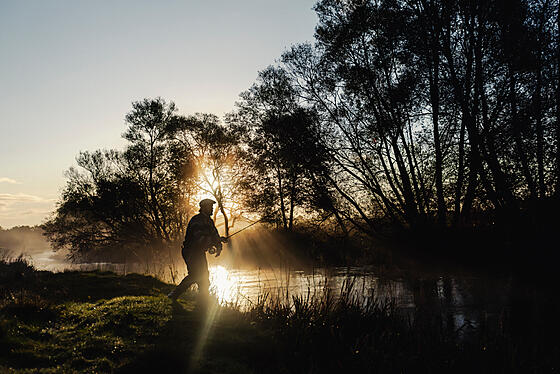 layout image (to proper size of the container)