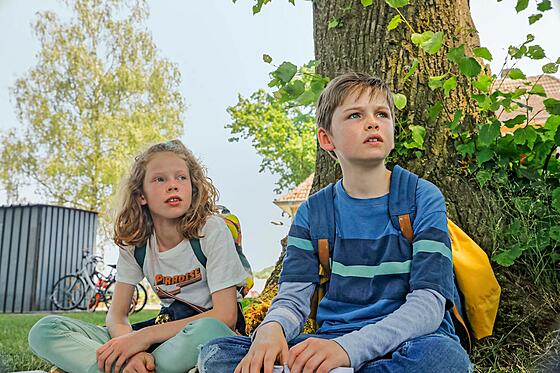 forhåndsvisning af film